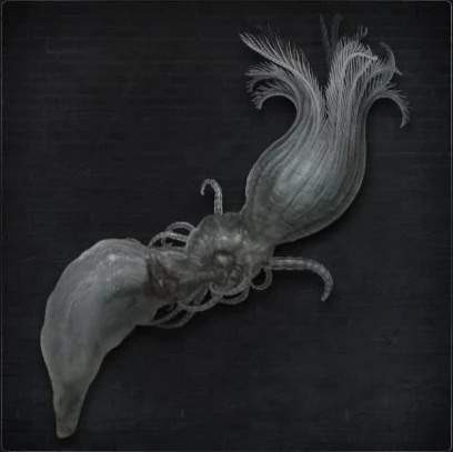 Kos Parasite