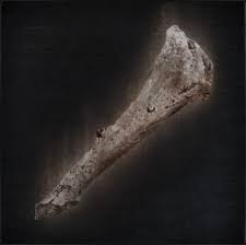 Old Hunter Bone
