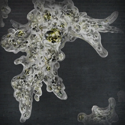 Second Brain Fluid